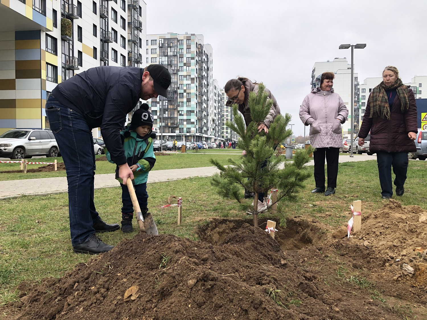 В комплексах RDI посадили более 100 хвойных деревьев