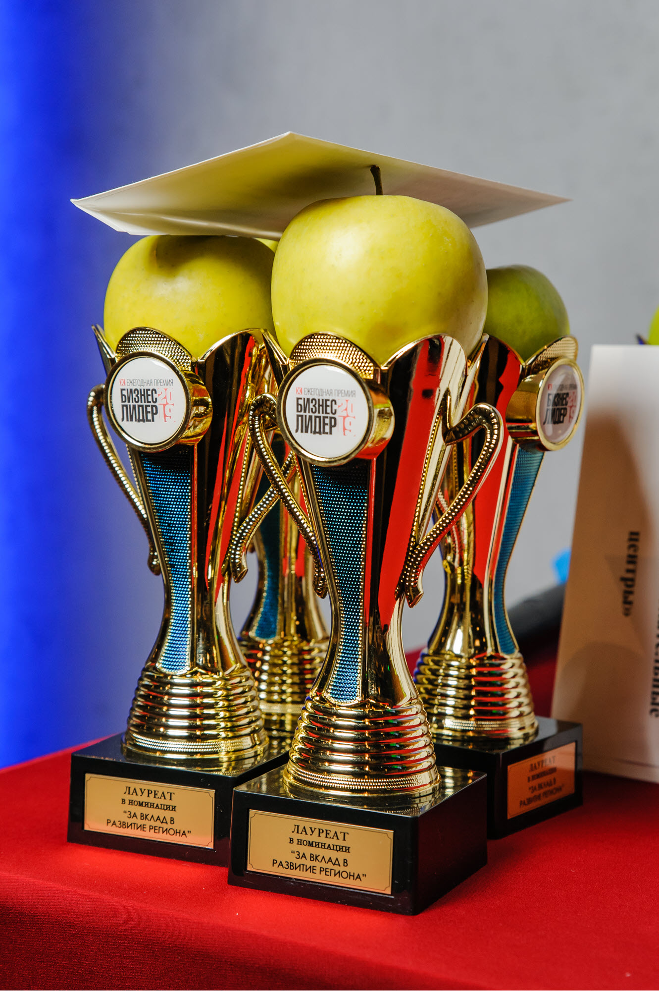 7 февраля 2020 года в Сити Холле «ЮЖНЫЙ» состоялась Церемония вручения X Ежегодной Премии «Бизнес — ЛИДЕР» 2019