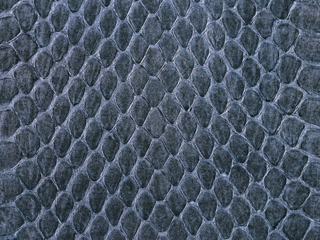 Суда Азово-Черноморского филиала «Морспасслужбы» под защитой «АльфаСтрахование»