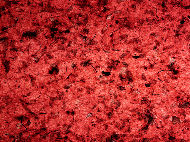 «АльфаСтрахование» и Альфа-Банк запустили продажи страховой защиты через чат-бот Alfa Message