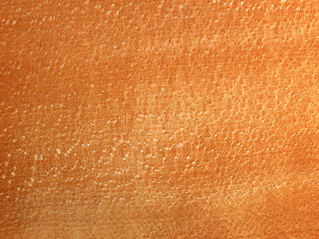 «АльфаСтрахование» назвала марки автомобилей, которые чаще всего попадают в ДТП в культурной столице