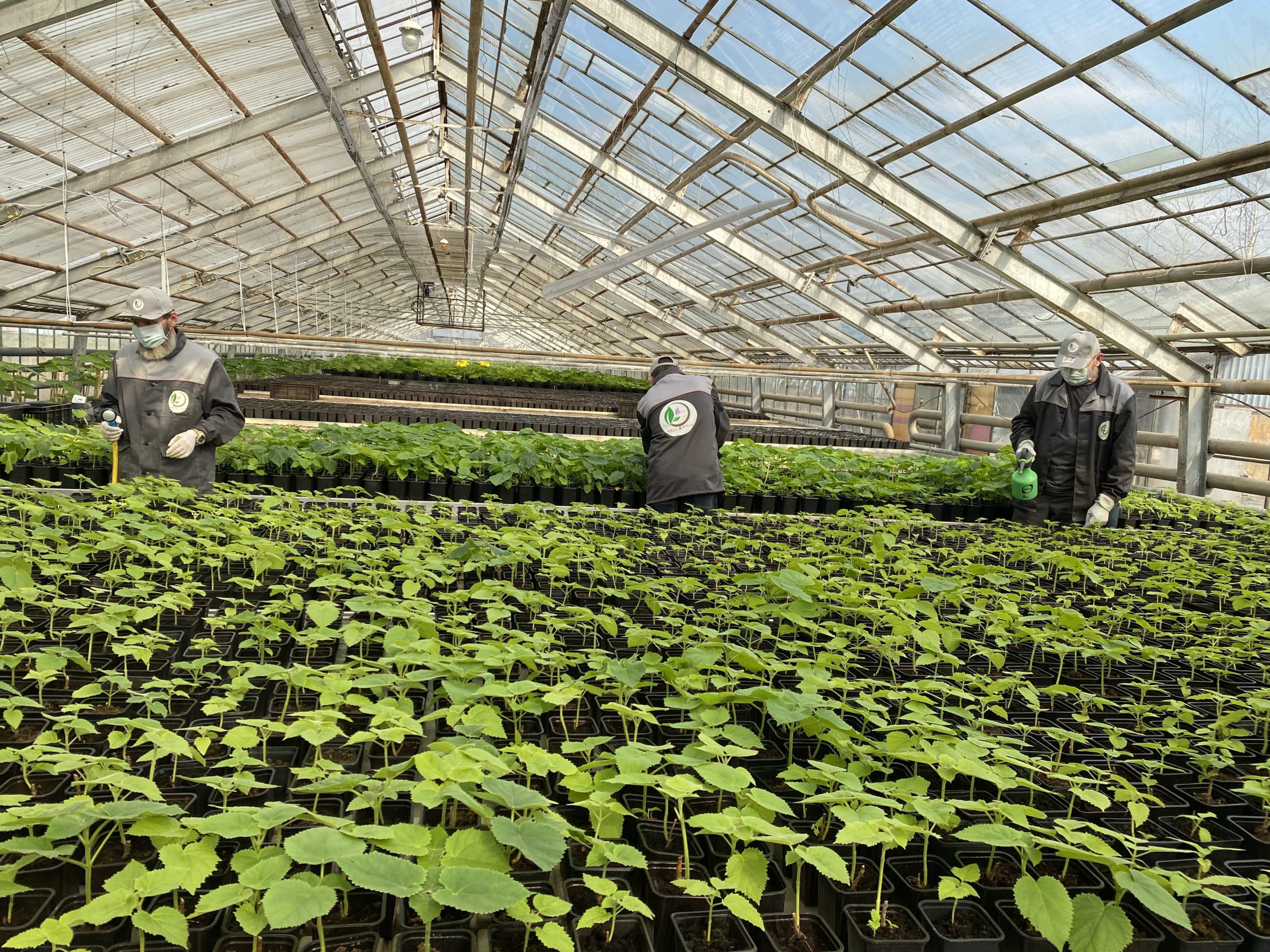 Выбирайте вакансию РАСТЕНИЕВОД НА ВАХТУ, присоединяйтесь к нашей команде!