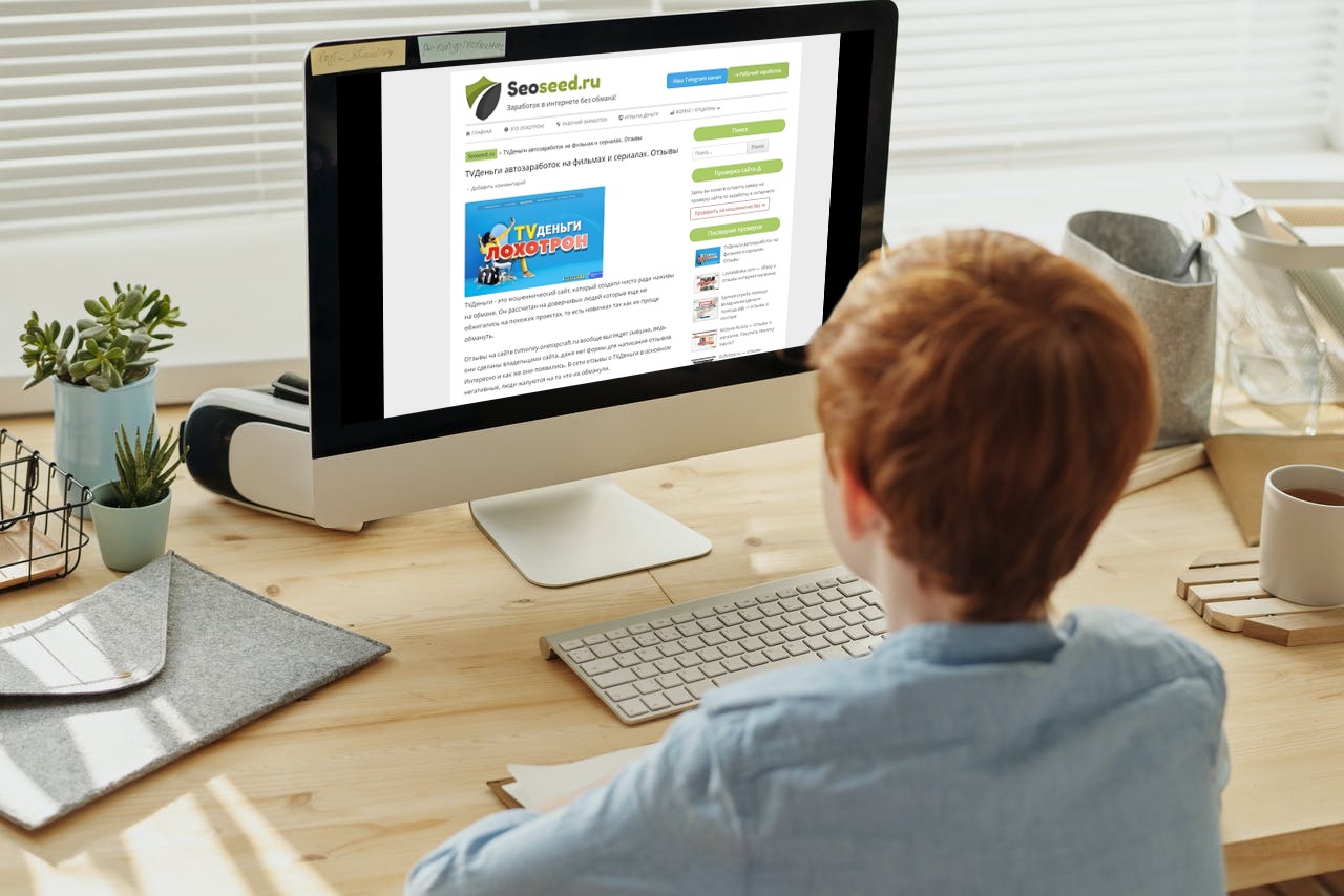 Seoseed: когда нужно обнаружить обман в интернете