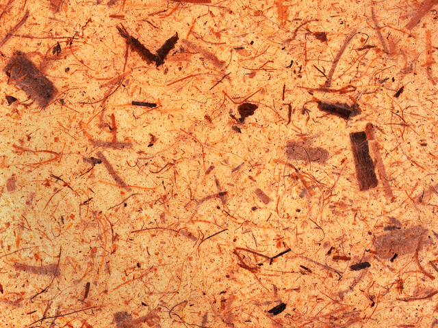 Министерством строительства РФ запланировано проведение мероприятий по стимулированию жилищного строительства школ, дорог и детских садов в 66 субъектах