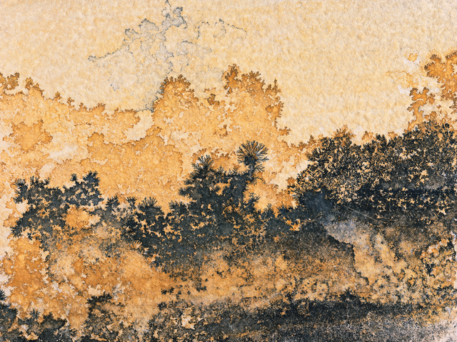 Thirty Two: стиль, движение и жизнь