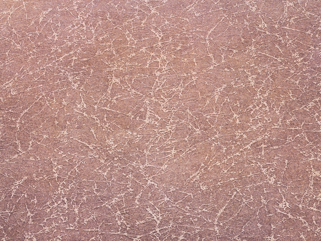 Страховка на миллион для заброшенного дома. «АльфаСтрахование» раскрыла мошенницу во Владимирской области