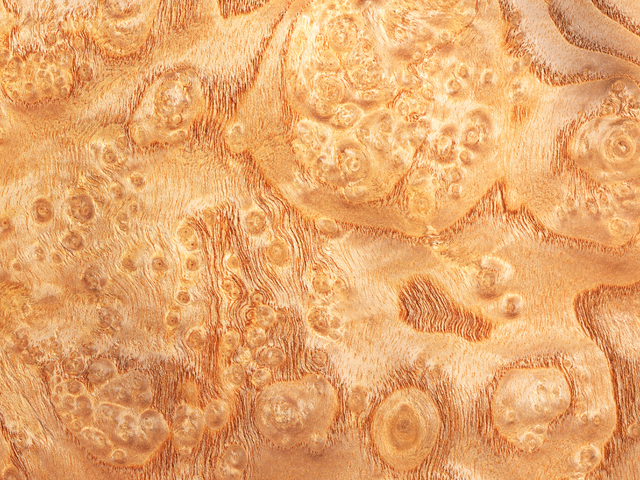 Revyline принимает участие в крупнейшем стоматологическом событии в регионе Ближнего Востока и Северной Африки и третьем по величине в мире стоматологии!