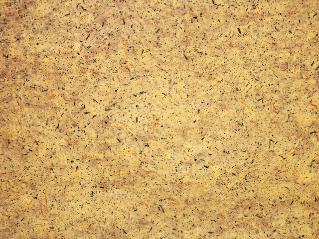 Популярность соцсетей вдвое увеличила траты россиян на фототовары