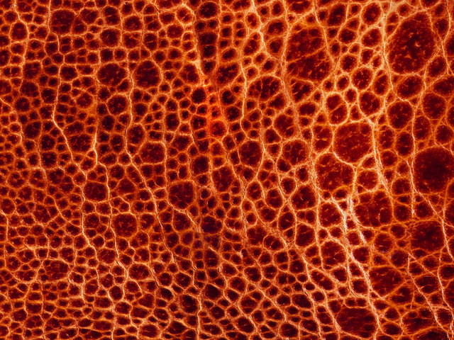 А-Клуб предложил клиентам новый инструмент для инвестиций Alfa Elements