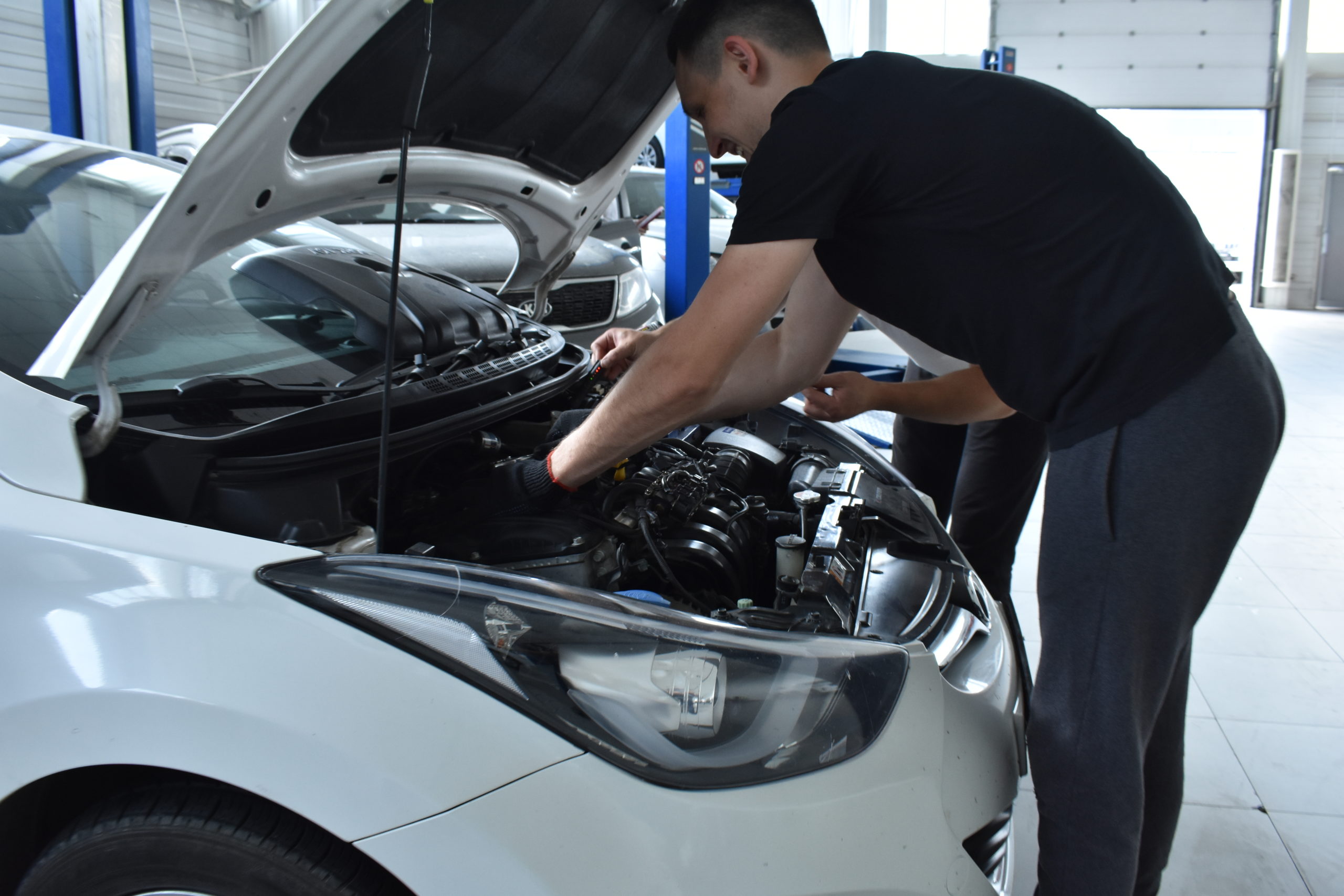 80% опрошенных автовладельцев при подготовке личного транспорта к осеннему сезону обращаются к профессионалам