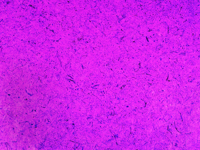 Да будет свет