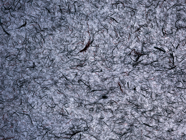 «Альфа-Капитал» освоил греблю