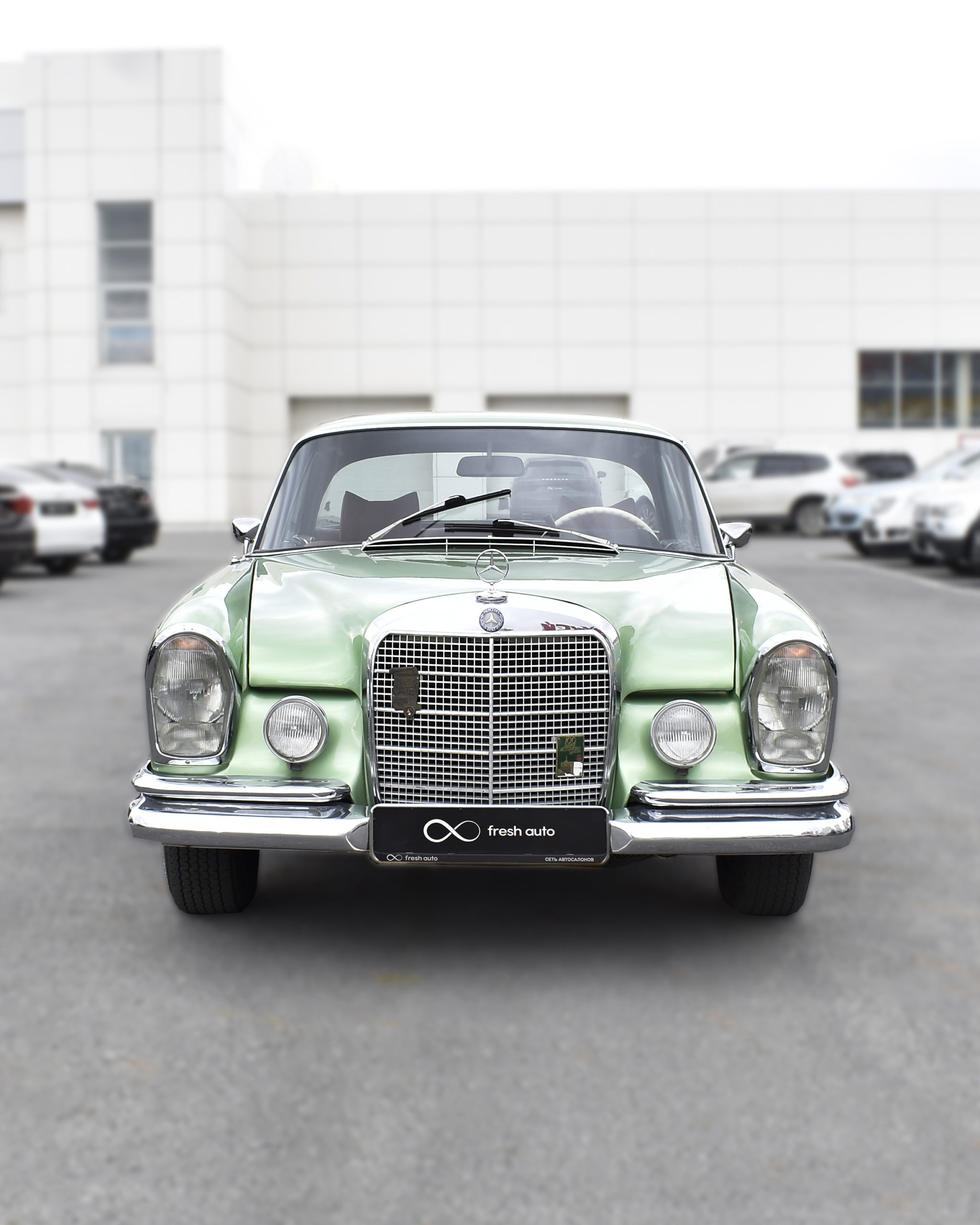 Какие автомобили выбирают жители разных регионов России