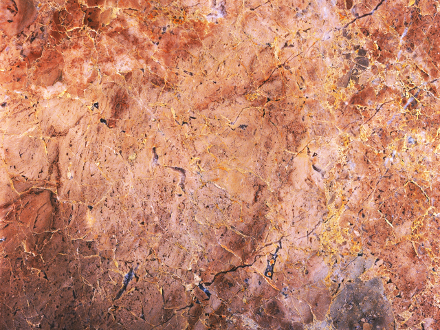 Нервная система, гормоны и сердце – «АльфаСтрахование» назвала самые распространенные болезни среди офисных работников