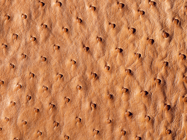 Как увеличить свои сбережения с помощью инвестиций УК «Альфа-Капитал»