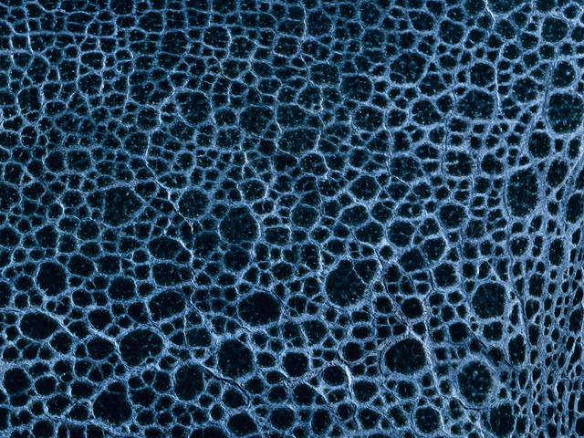 Премаркет Московской биржи 17.11 УК Альфа-Капитал