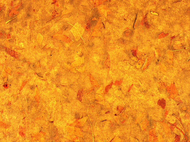 Открытие торгов на валютном рынке 14.12 УК "Альфа-Капитал"