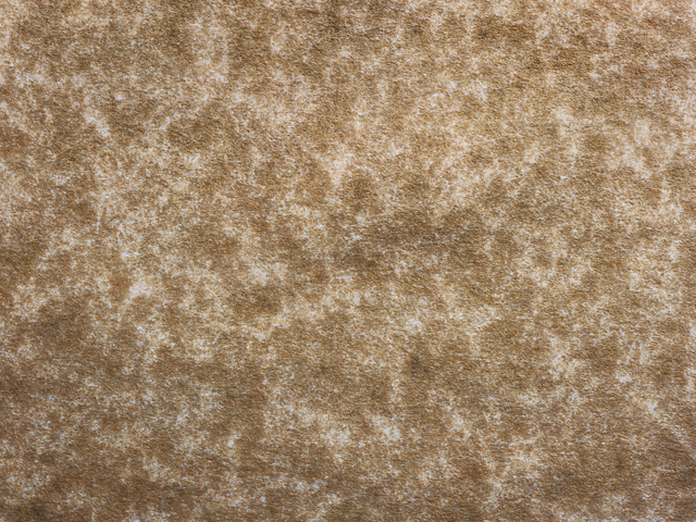 Премаркет МосБиржи 01.02 УК "Альфа-Капитал"