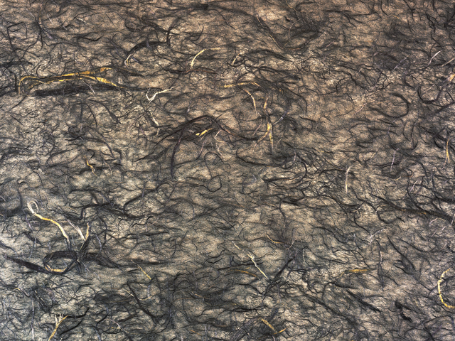 Закрытие МосБиржи 14.02 УК "Альфа-Капитал"