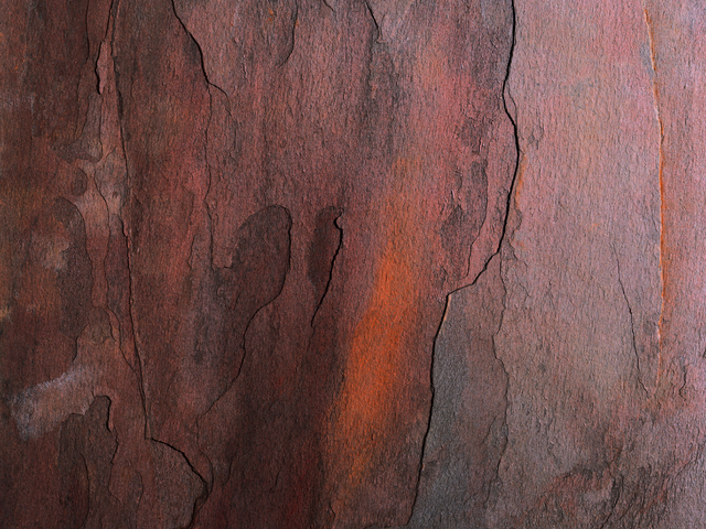 Открытие торгов на валютном рынке 22.02 УК "Альфа-Капитал"