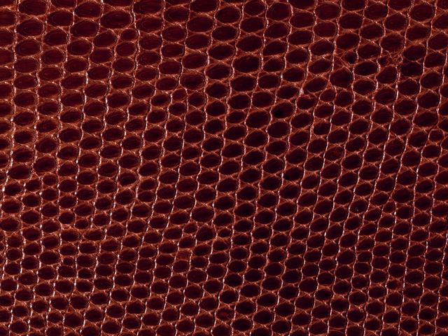 Ход торгов МосБиржи 24.03 УК "Альфа-Капитал"