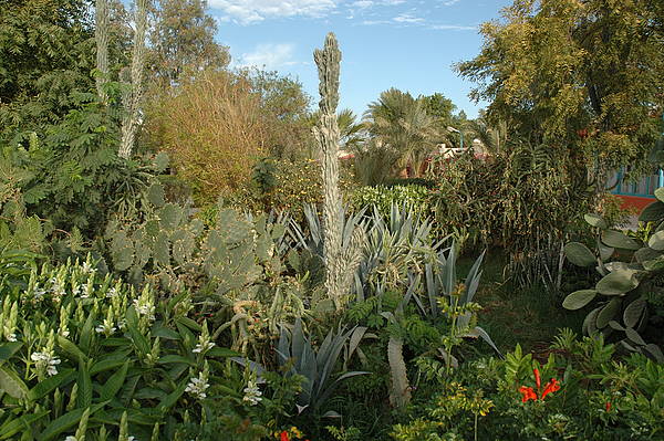    ,  2007 - 67